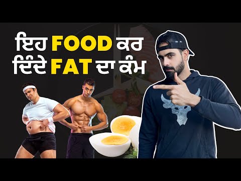 FOOD That Burn Fat | Harry Mander