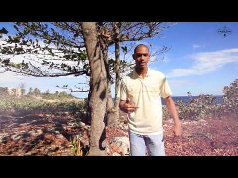 No le Rechaces - Deep Peace  -  video oficial 2015