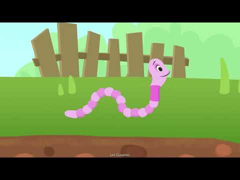 Los Gusanos - Animales invertebrados para niños