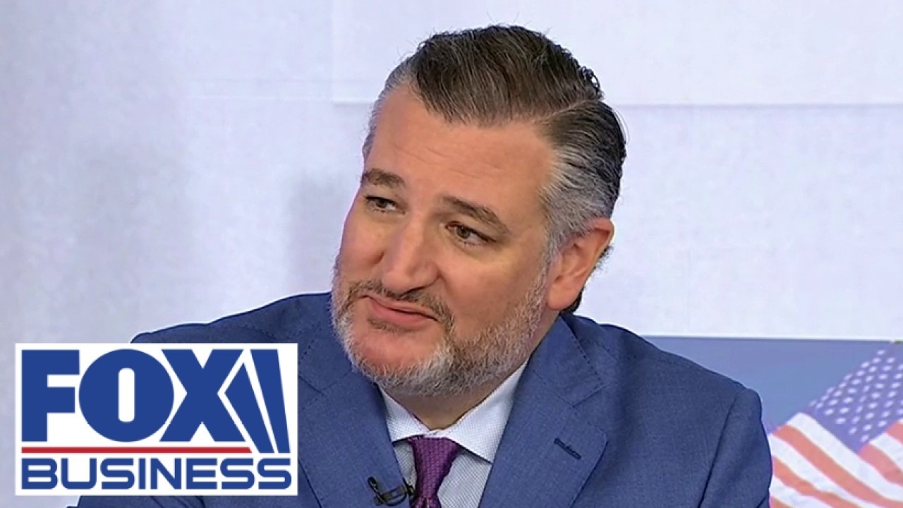 Ted Cruz: This election is looking 'bumpy'