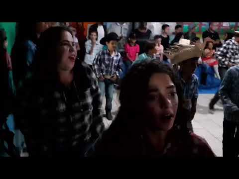 Danças regionais brasileiras.