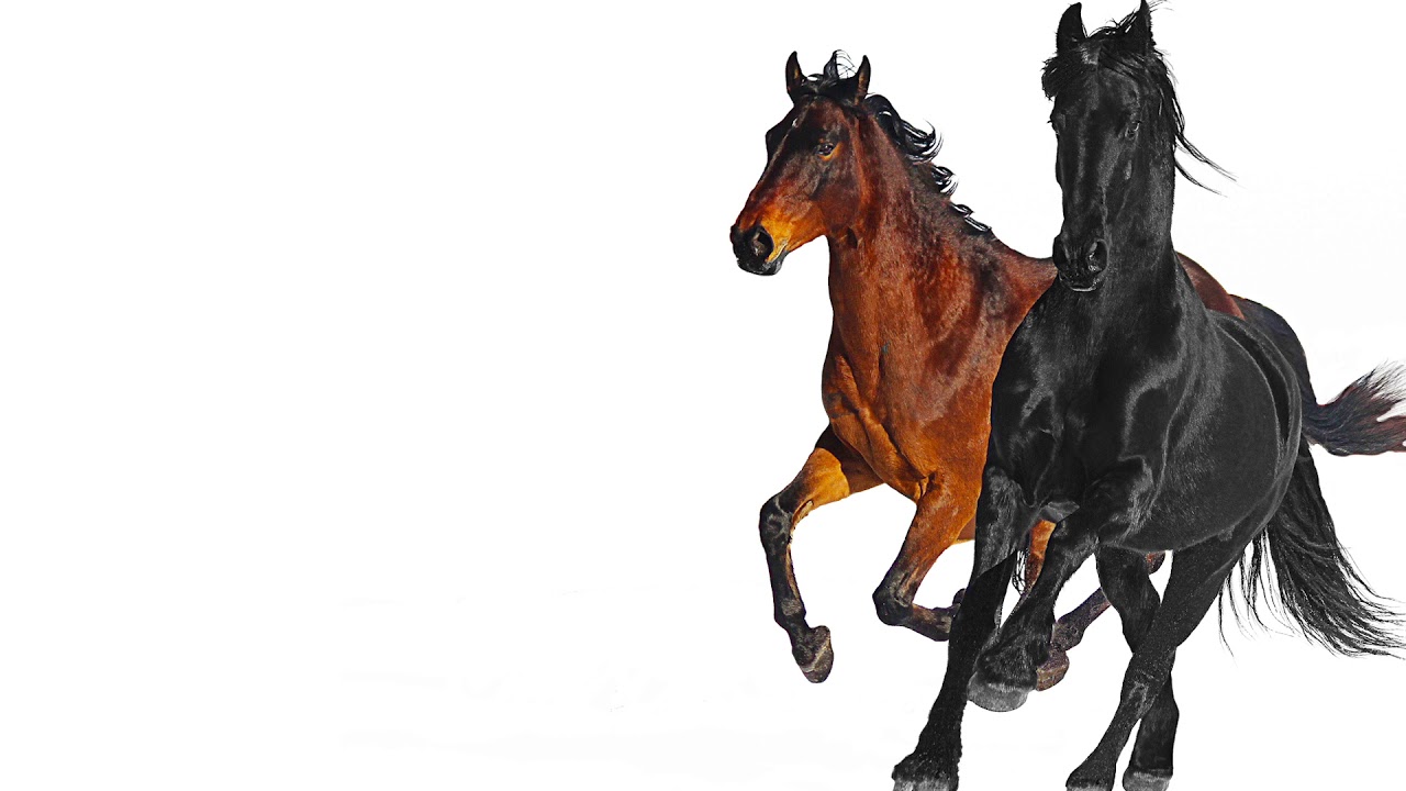 descargar la musica de lil nas x old town road descargar la musica de lil nas x old town road