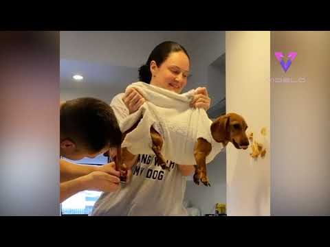 Truco para cortar las uñas al perro