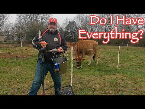 Essentials Before You Get A Dairy Cow