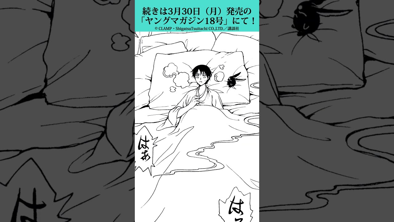 『xxxHOLiC・戻〈レイ〉』第73回あらすじ動画を公開✨