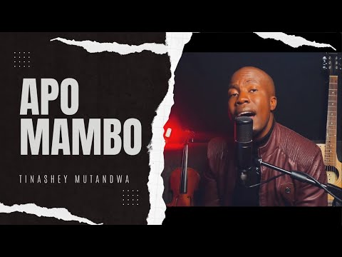 Tinashey Mutandwa - Apo Mambo