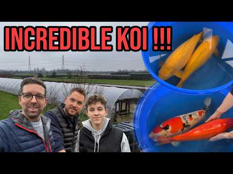 Humber Koi and Ricky Stoddart