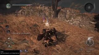 [問題] 仁王立花宗茂該怎麼打...