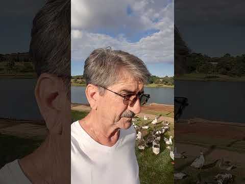 LAGO ROLÂNDIA HOJE DOMINGO