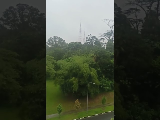 3 Bed Condo for Sale in  Verdale - Image 46