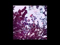 Kupla - Search for Tomorrow Kupla - Search for Tomorrow