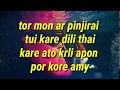 Tor Moner Pinjirai Karoke Video 2019