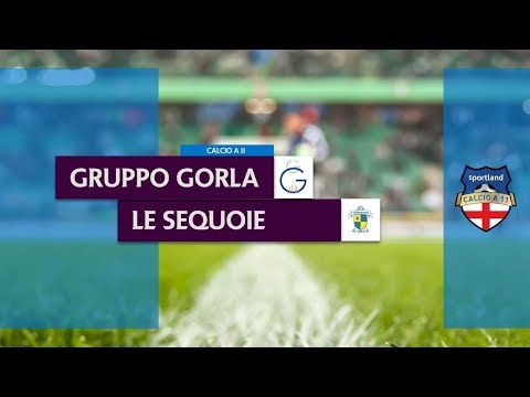 GRUPPO GORLA vs LE SEQUOIE - Finale Campionato C11