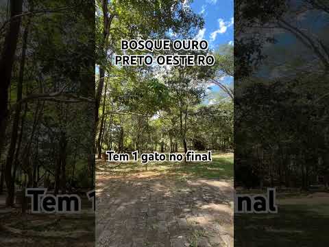 #ouropretodooeste #rondonia #brasil