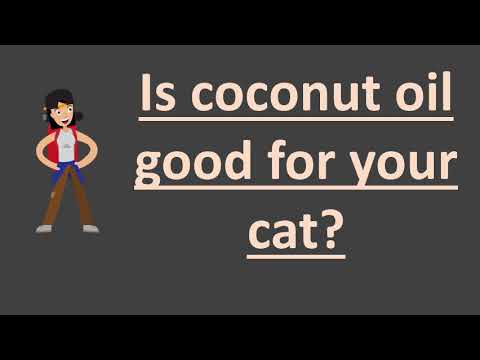 Is coconut oil good for your cat ?