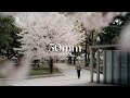 50mm Street Photography with Composition Breakdown, Sakura edition