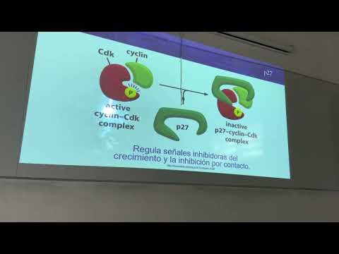 26/06/23 prof.ÁNGEL (parte II)