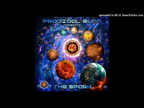 02 Prodigal Sunn - Art of Patience
