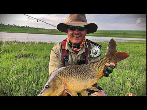 Carp on Fly - Africa Episode 2