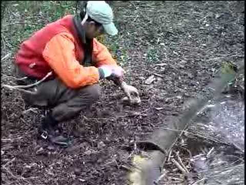 Heroes of the Bush 2