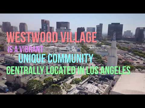 Get to know the Westwood Village