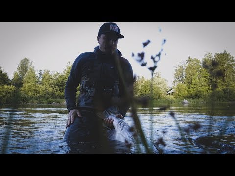 Kuulumisia Kymijoelta #3 | "Ison kalan viikko"