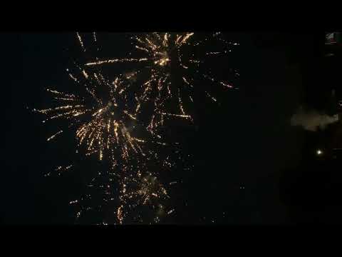 5310   Brocade crown fan