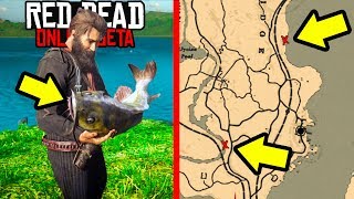 SECRET FISHING SPOTS YOU NEED TO KNOW ABOUT in Red Dead Online! RDR2 Online Money!
