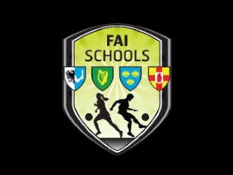 FAI Schools Tom Ticher National Junior Cup Final (Under 17, Large Schools)
