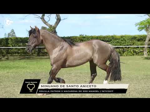 Minuano de Santo Aniceto