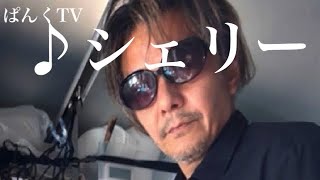【respect song】♪シェリー