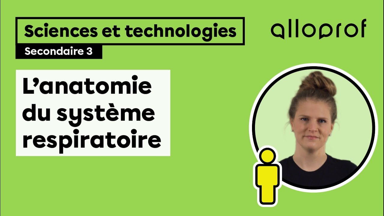 L'anatomie du système respiratoire