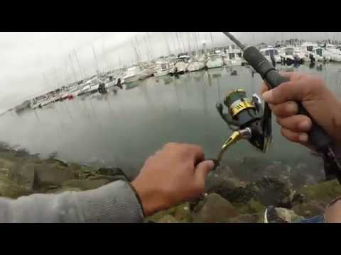 TÉLÉCHARGER PECHE DJAKOUT DJAKOUT TÉLÉCHARGER PECHE