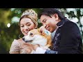 LOVE STORY BRIDGERTON Inspired Pre Wedding TAYLOR SWIFT Violin Cover By Caio Ferraz