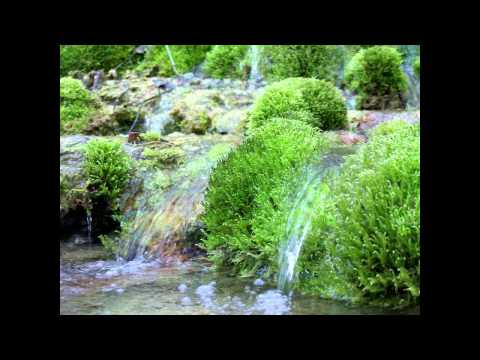 09 52 Božina uspomena   Željko Čikarević