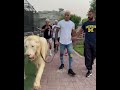 Oliveira is walking a lion before #UFC280 ?