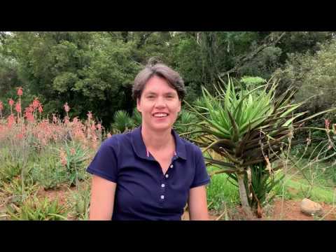 Neuro Agility Profile (NAP)