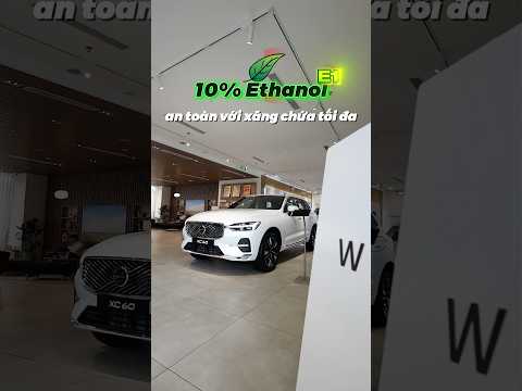 Xăng E10 Có Sử Dụng Được Trên Xe Volvo | Top 3 Câu Hỏi Khách Hàng Thường Thắc Mắc | Minh Mẫn Volvo