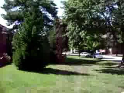 Walking Tour of Concordia