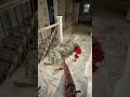 Brutal Kill In This Realistic Game BODYCAM Unrealengine5 Bodycam Unrealengine