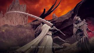 ちょっとだけELDEN RINGやる6(DLC)