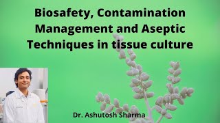 Biosafety, contamination management and aseptic techniques in tissue culture