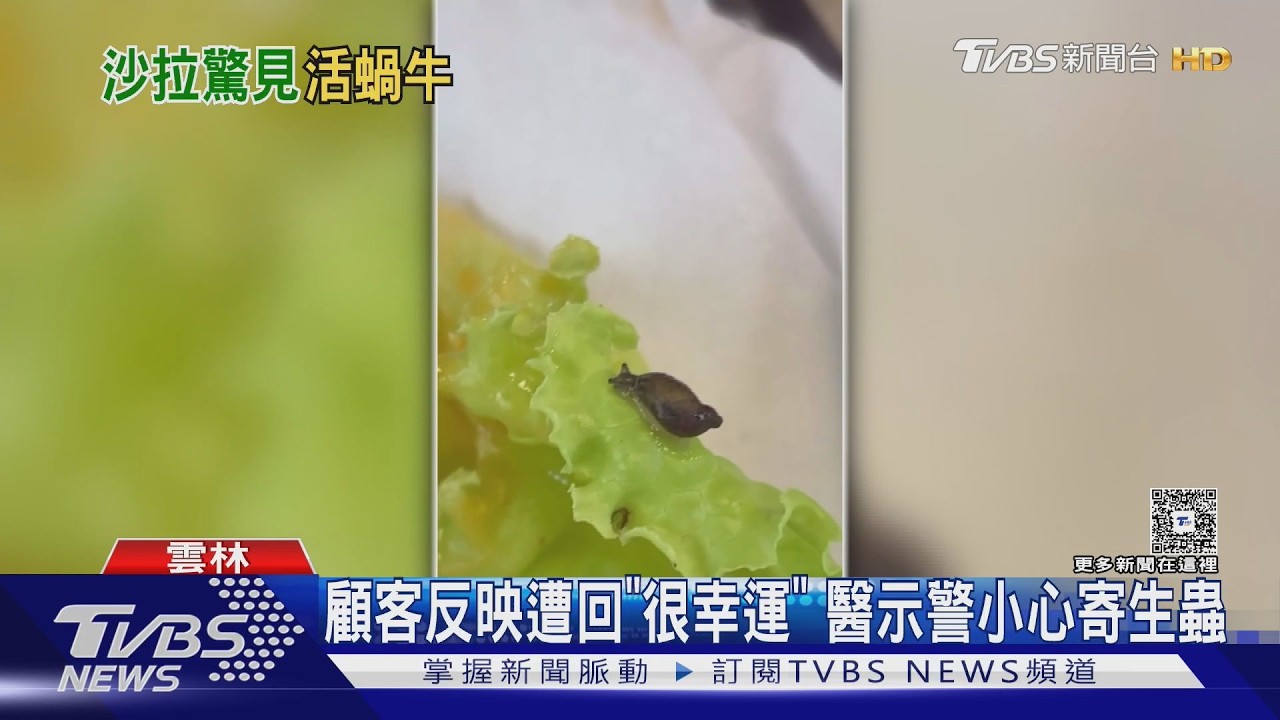 生菜驚見活蝸牛！牛排館店員神回「帶回家養」　醫警告：恐藏寄生蟲