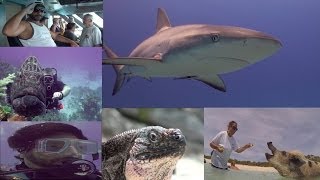 preview picture of video 'Aqua Cat Cruises - Exuma Cays, Bahamas'