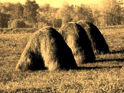 Apveineiba MMD - Kod latgaļīts Reigā brauc