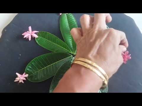 Pushtimarg || Phool or  Patti ☘️ se Sanji Bana ne ki Reet 