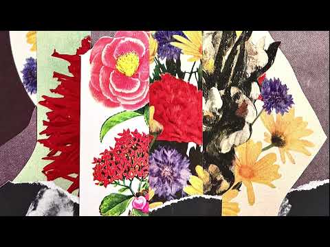 Shrimpnose - Never Get Enough [Official Audio]