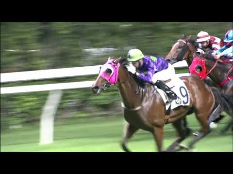 19/5/2021 (683) Universal Go Go - J Moreira