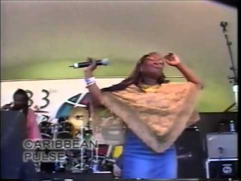 Caribbean Pulse Live at Reggae in the Park San Francisco Part 2 of 3