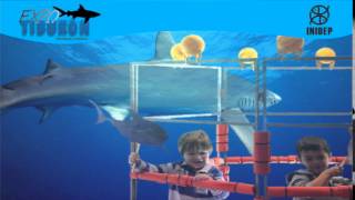 DIA 2 Expo Tiburon122